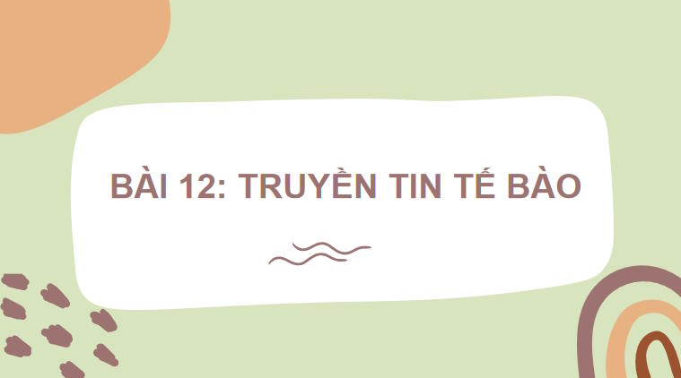 Giáo án PowerPoint Sinh học 10 Kết nối tri thức Bài 12