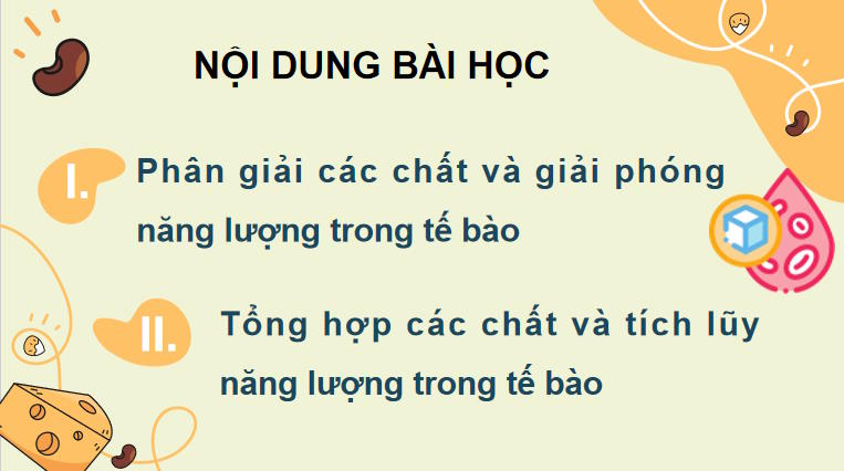 Giáo án PowerPoint Sinh học 10 Kết nối tri thức Bài 14