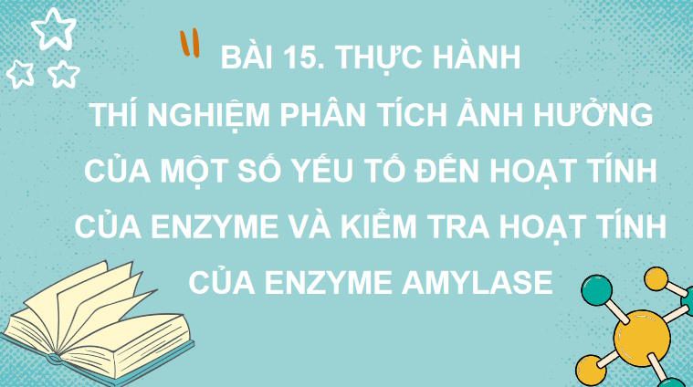 Giáo án PowerPoint Sinh học 10 Kết nối tri thức Bài 15