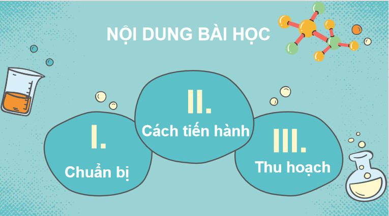 Giáo án PowerPoint Sinh học 10 Kết nối tri thức Bài 15