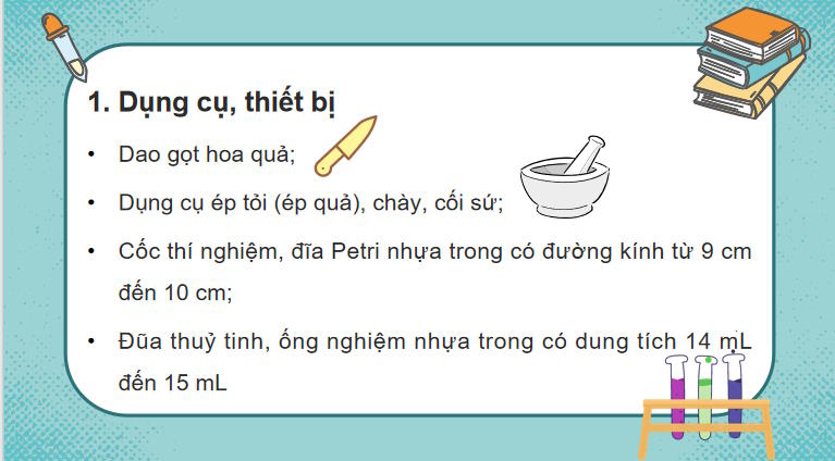 Giáo án PowerPoint Sinh học 10 Kết nối tri thức Bài 15