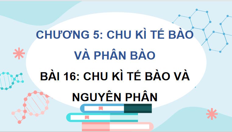 Giáo án PowerPoint Sinh học 10 Kết nối tri thức Bài 16
