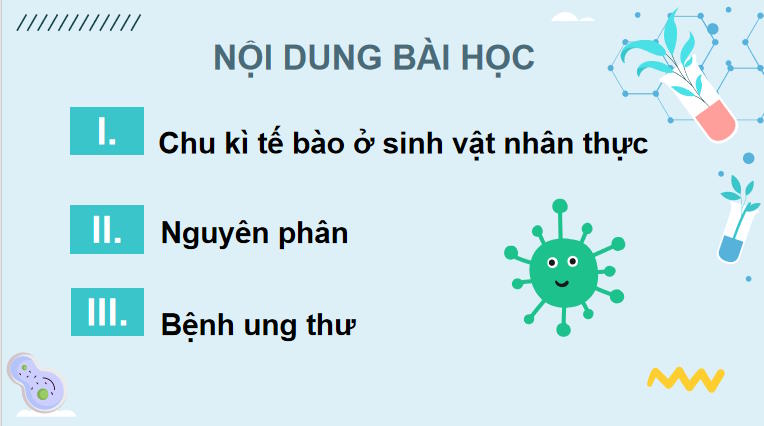 Giáo án PowerPoint Sinh học 10 Kết nối tri thức Bài 16