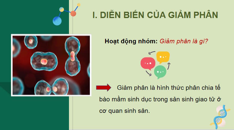 Giáo án PowerPoint Sinh học 10 Kết nối tri thức Bài 17