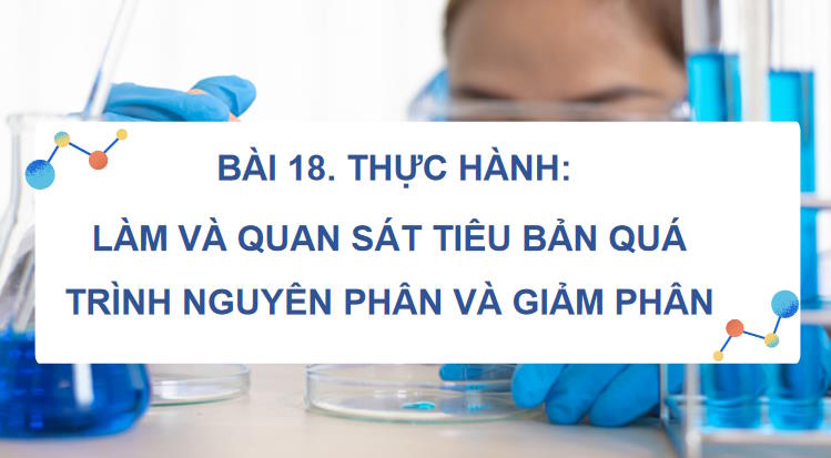 Giáo án PowerPoint Sinh học 10 Kết nối tri thức Bài 18