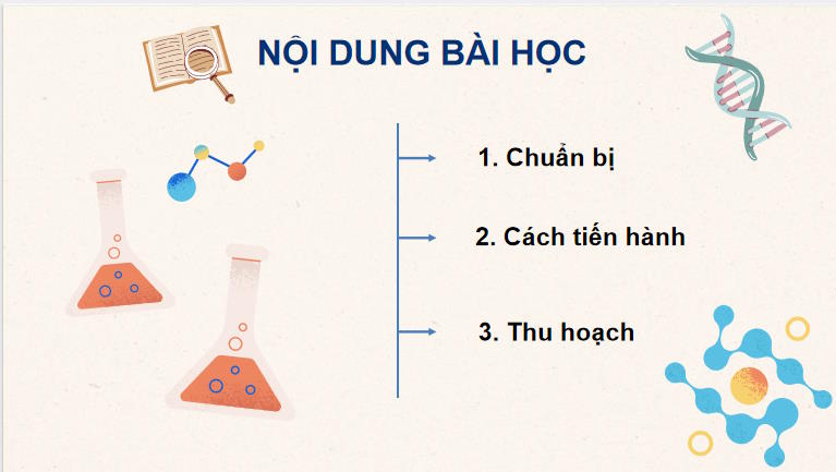 Giáo án PowerPoint Sinh học 10 Kết nối tri thức Bài 18