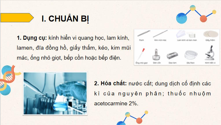 Giáo án PowerPoint Sinh học 10 Kết nối tri thức Bài 18