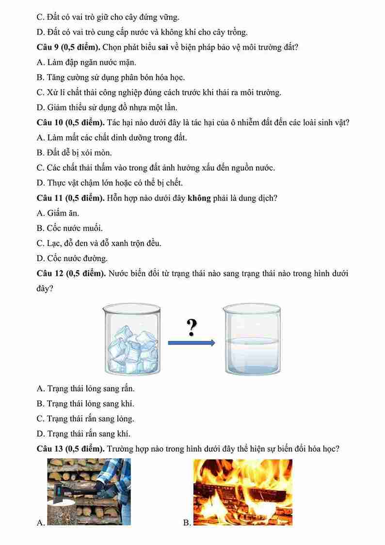 De thi GK1 Khoa hoc 5 CD De 1 3*809667