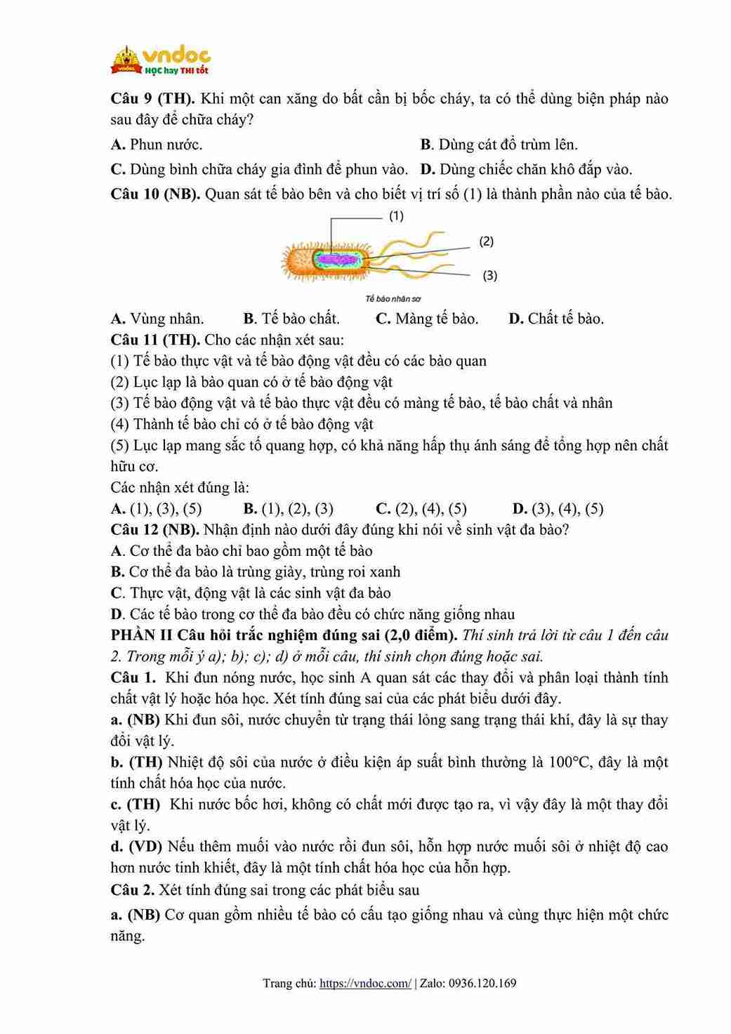 de thi giua hoc ki 1 khoa hoc tu nhien 6 canh dieu cv 7991 day song song hinh anh 1 1*810047