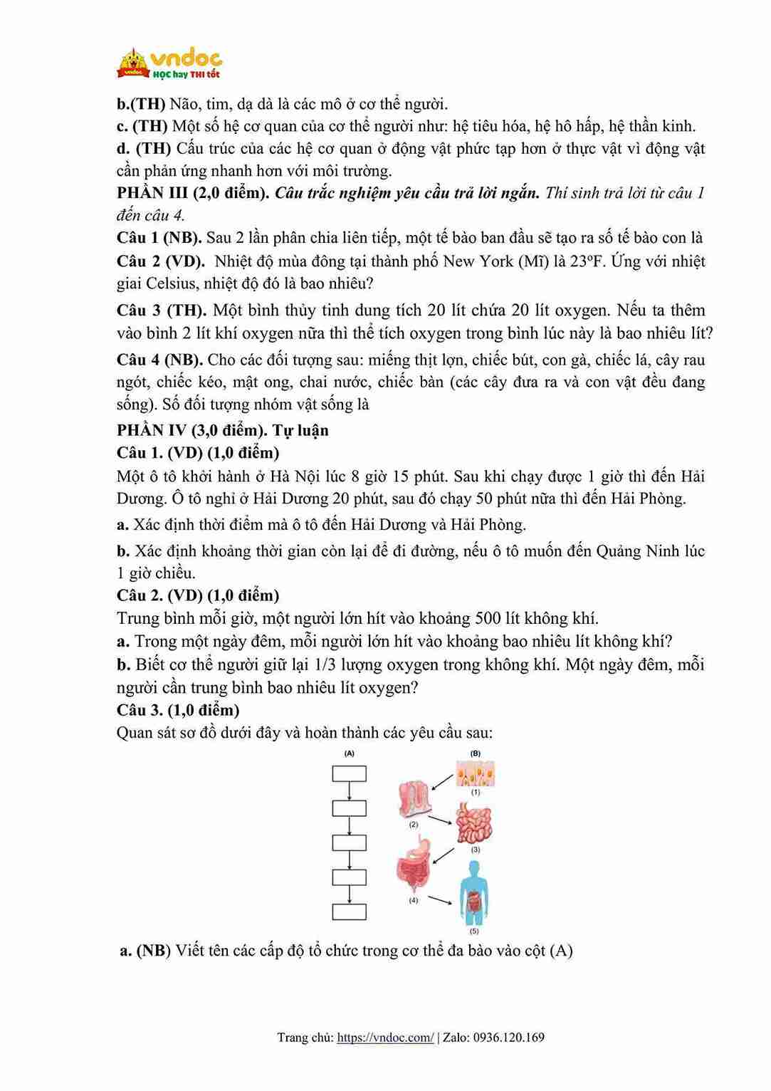 de thi giua hoc ki 1 khoa hoc tu nhien 6 canh dieu cv 7991 day song song hinh anh 2 1*810048