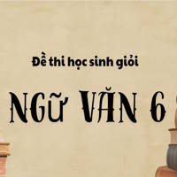 Bộ 51 đề ôn thi HSG Ngữ Văn 6 sách Kết nối tri thức