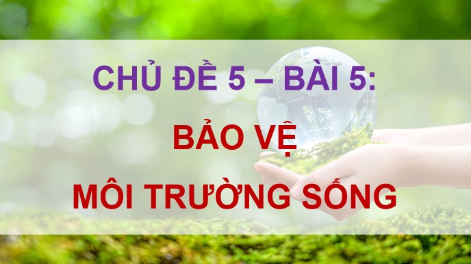 giao an dao duc 5 kntt bai 5 2*810107
