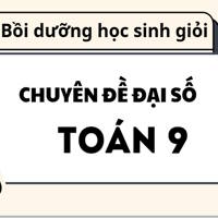 Chuyên đề đại số: Ứng dụng của hàm bậc nhất để chứng minh bất đẳng thức