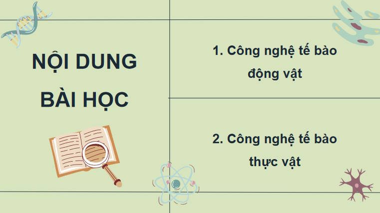 Giáo án PowerPoint Sinh học 10 Kết nối Bài 19