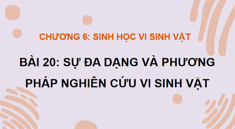 Giáo án PowerPoint Sinh học 10 Kết nối Bài 20