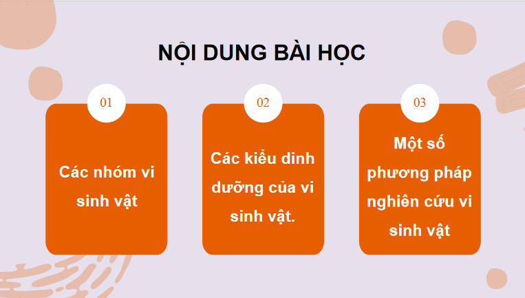 Giáo án PowerPoint Sinh học 10 Kết nối Bài 20