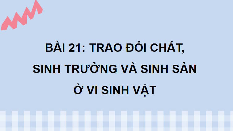 Giáo án PowerPoint Sinh học 10 Kết nối Bài 21