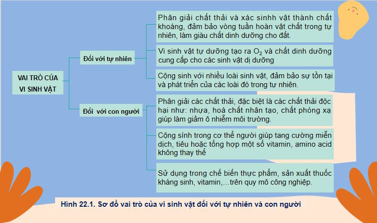 Giáo án PowerPoint Sinh học 10 Kết nối Bài 22