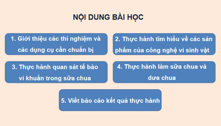 Giáo án PowerPoint Sinh học 10 Kết nối Bài 23