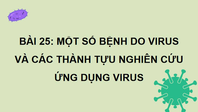 Giáo án PowerPoint Sinh học 10 Kết nối Bài 25