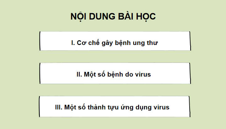 Giáo án PowerPoint Sinh học 10 Kết nối Bài 25