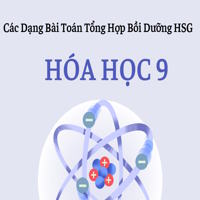 Các dạng bài toán tổng hợp 