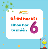 Top 13 Đề thi học kì 1 lớp 6 môn Khoa học tự nhiên năm 2025 - 2026