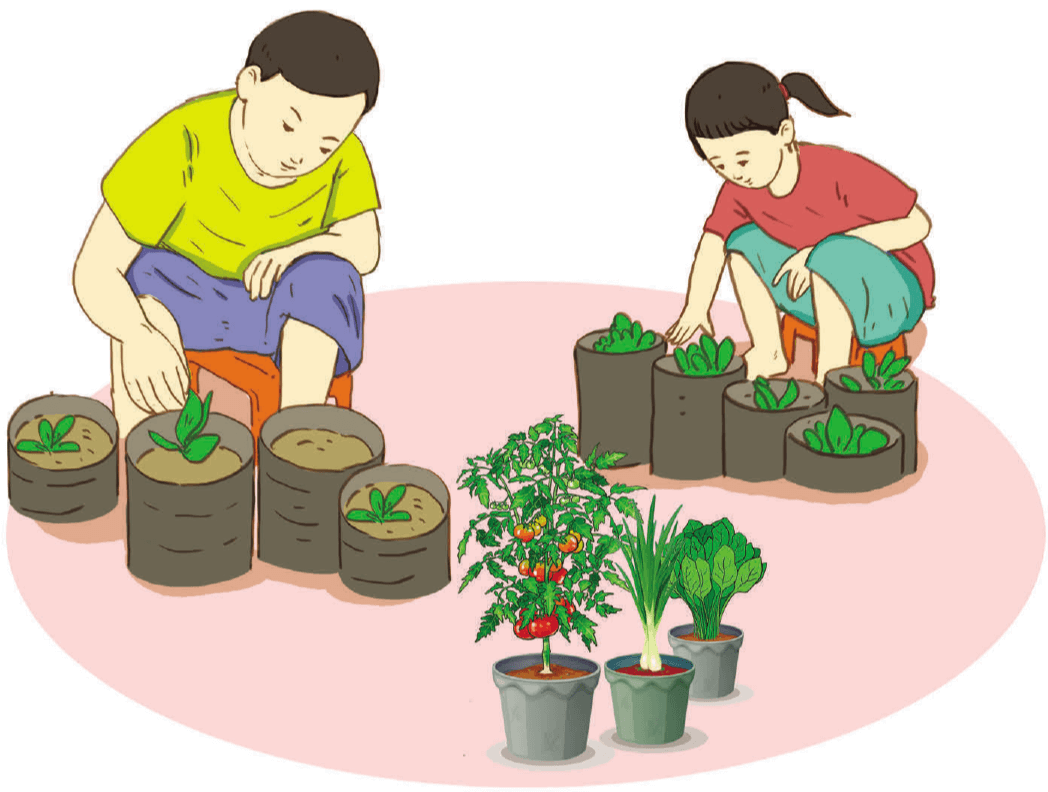 Trả lời câu hỏi bài Vườn rau trong nhà