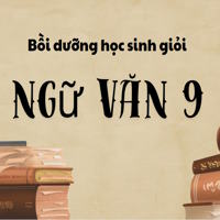 Bộ tài liệu bồi dưỡng học sinh giỏi Ngữ Văn 9