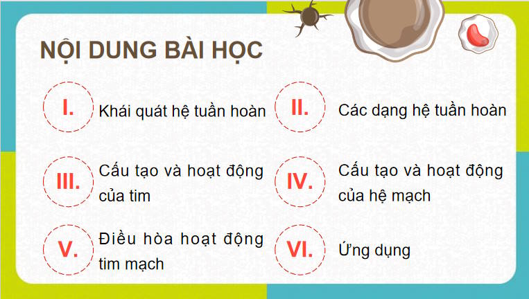Giáo án PowerPoint Sinh học 11 Kết nối Bài 10