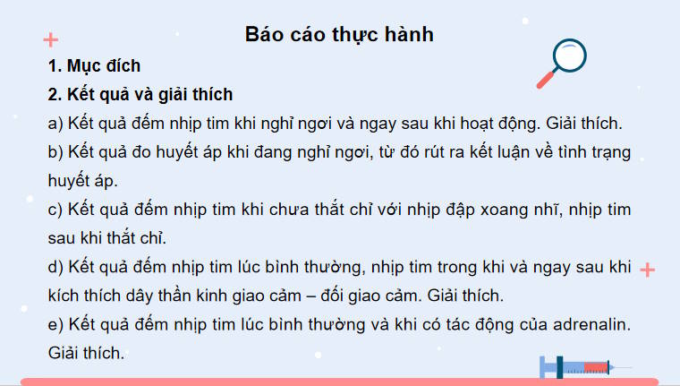 Giáo án PowerPoint Sinh học 11 Kết nối Bài 11