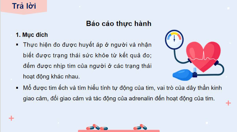 Giáo án PowerPoint Sinh học 11 Kết nối Bài 11