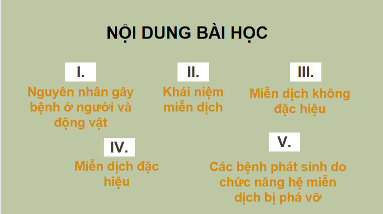 Giáo án PowerPoint Sinh học 11 Kết nối Bài 12