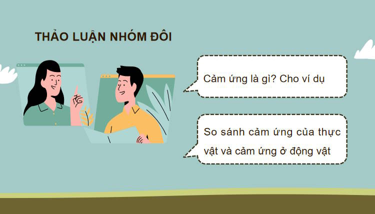 Giáo án PowerPoint Sinh học 11 Kết nối Bài 14