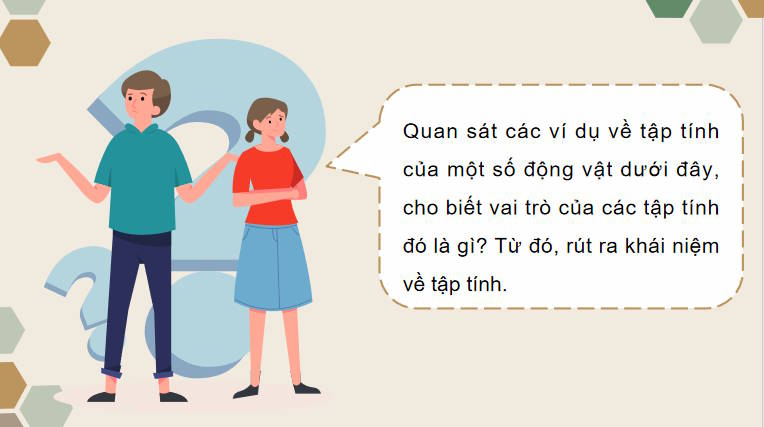 Giáo án PowerPoint Sinh học 11 Kết nối Bài 18
