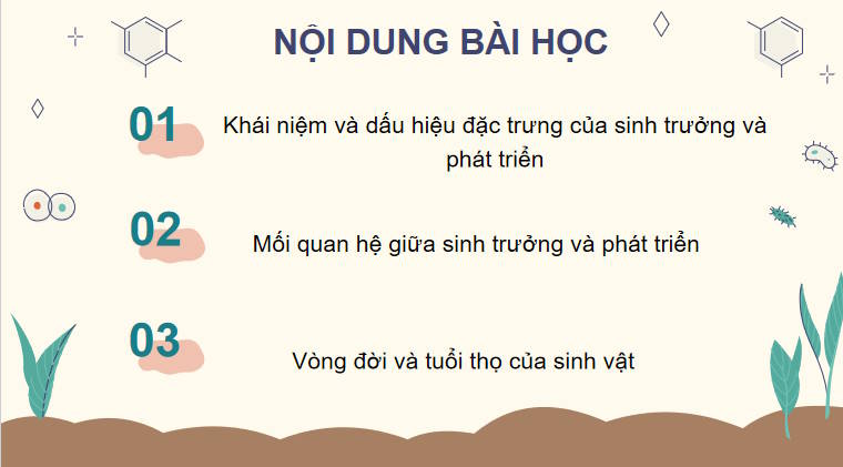 Giáo án PowerPoint Sinh học 11 Kết nối Bài 19