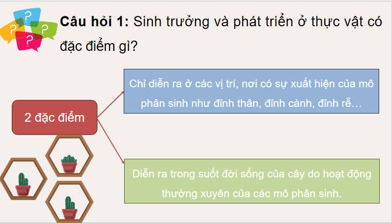 Giáo án PowerPoint Sinh học 11 Kết nối Bài 20