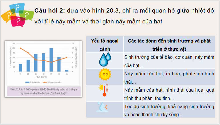 Giáo án PowerPoint Sinh học 11 Kết nối Bài 20