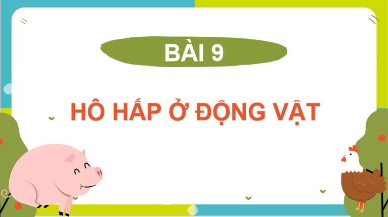 Giáo án PowerPoint Sinh học 11 Kết nối Bài 9