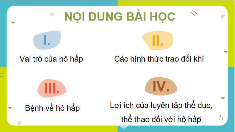Giáo án PowerPoint Sinh học 11 Kết nối Bài 9