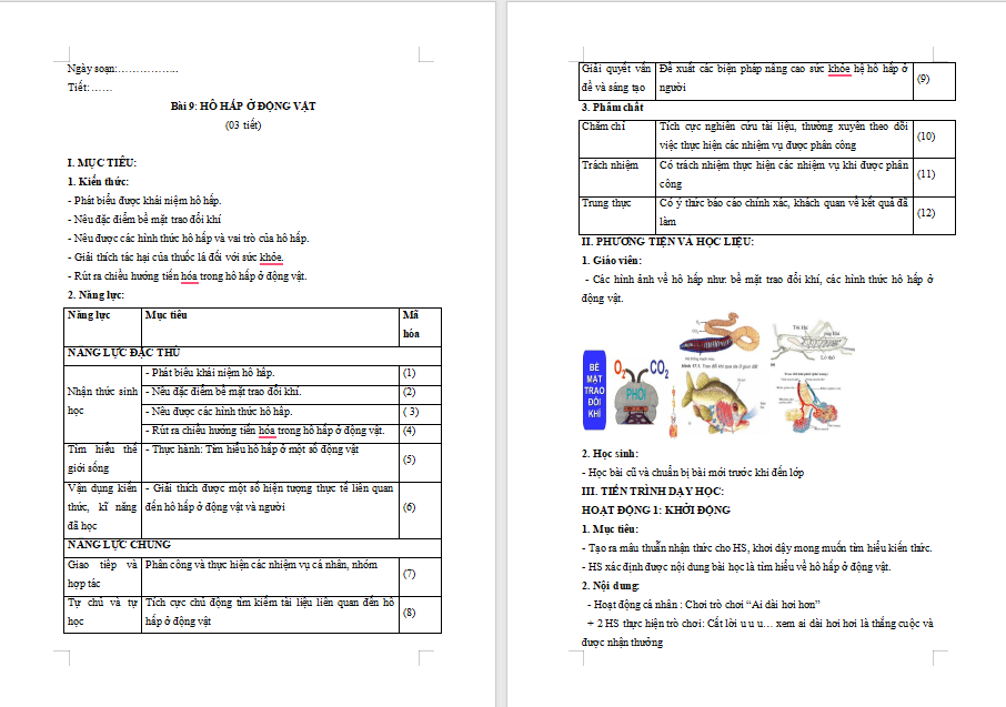Giáo án PowerPoint Sinh học 11 Kết nối Bài 9