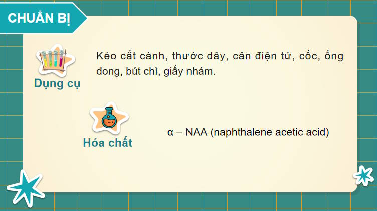 Giáo án PowerPoint Sinh học 11 Kết nối Bài 21