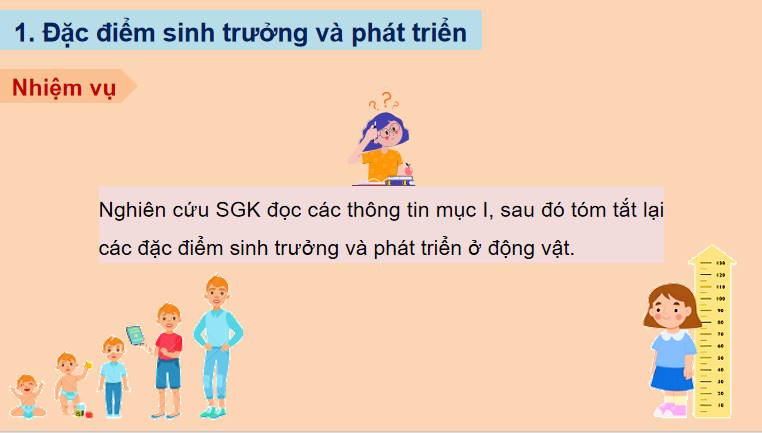 Giáo án PowerPoint Sinh học 11 Kết nối Bài 22