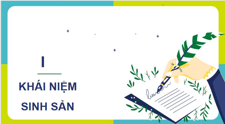 Giáo án PowerPoint Sinh học 11 Kết nối Bài 24