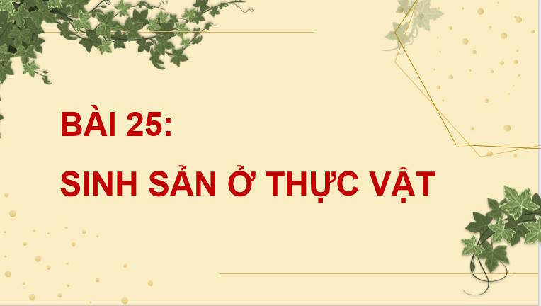 Giáo án PowerPoint Sinh học 11 Kết nối Bài 25