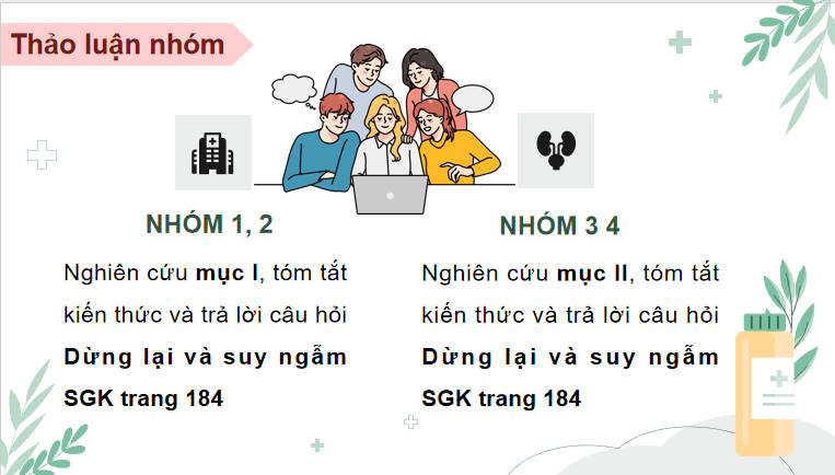 Giáo án PowerPoint Sinh học 11 Kết nối Bài 28