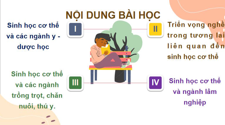 Giáo án PowerPoint Sinh học 11 Kết nối Bài 29
