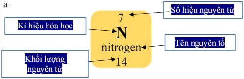 Đáp án đề thi giữa kì 1 lớp 7 môn Khoa học tự nhiên