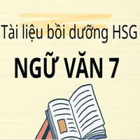 Tài liệu bồi dưỡng HSG Ngữ Văn 7 chuyên sâu