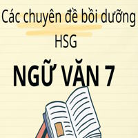 Các chuyên đề bồi dưỡng HSG Ngữ Văn 7 